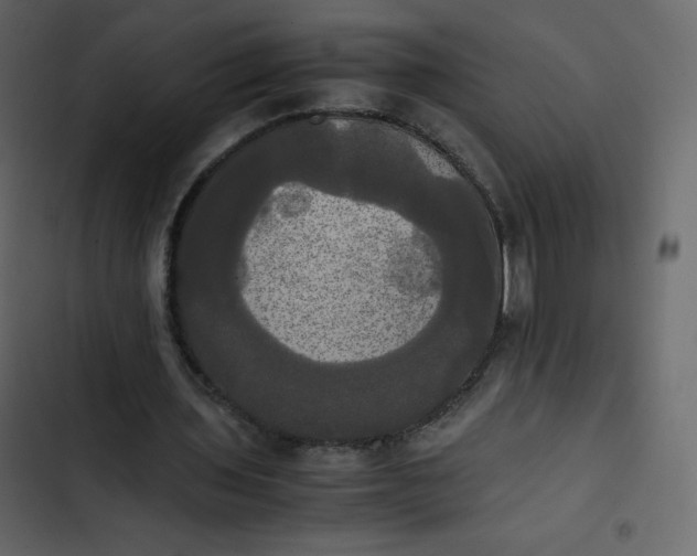 X0000102840435200809021340