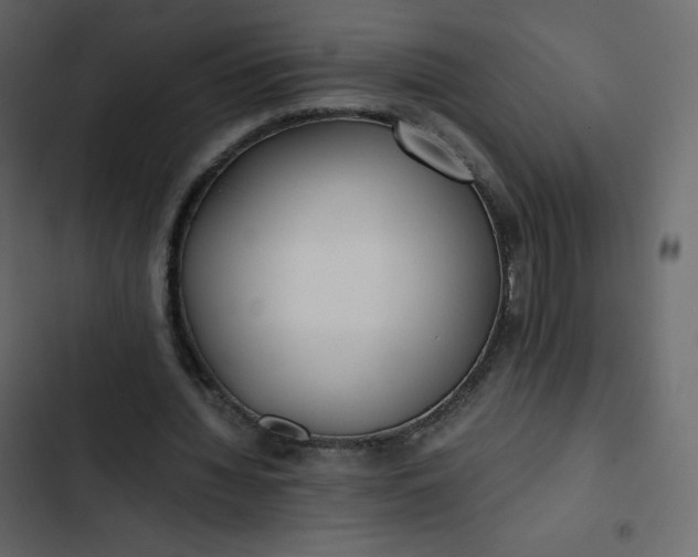 X0000102840436200809021340