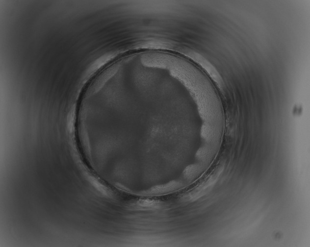 X0000102840437200809021340