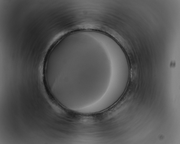 X0000102840438200809021340