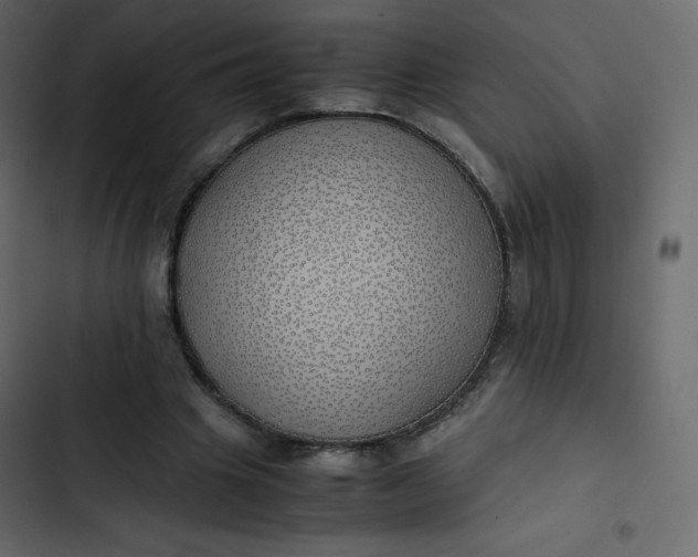 X0000102840441200809021340