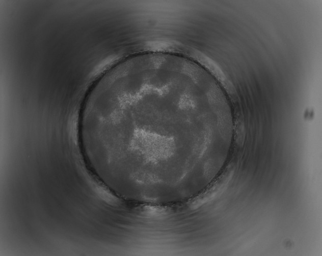 X0000102840442200809021340