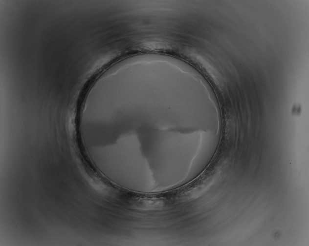 X0000102840443200809021340