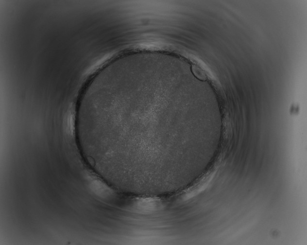 X0000102840446200809021340