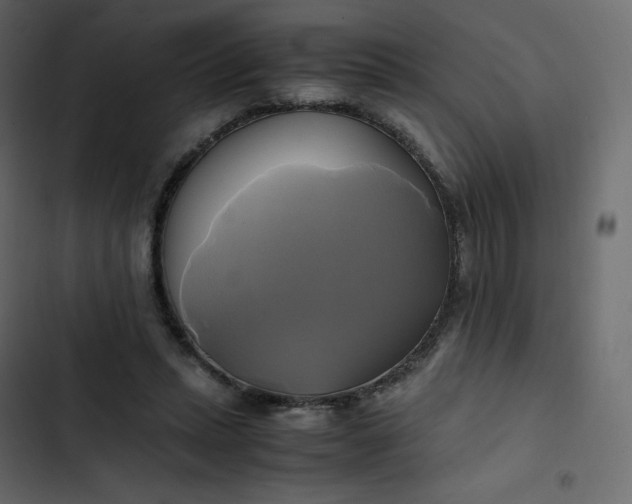 X0000102840447200809021340