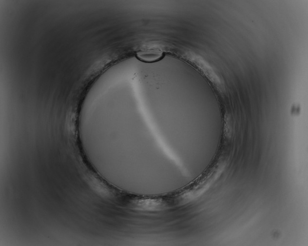 X0000102840449200809021340