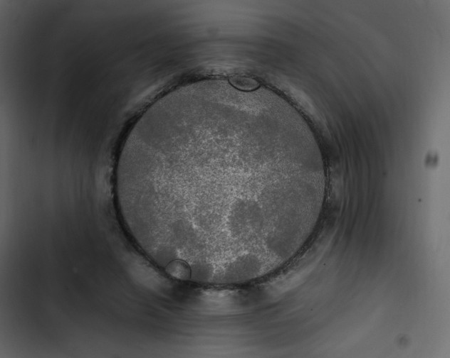 X0000102840450200809021340