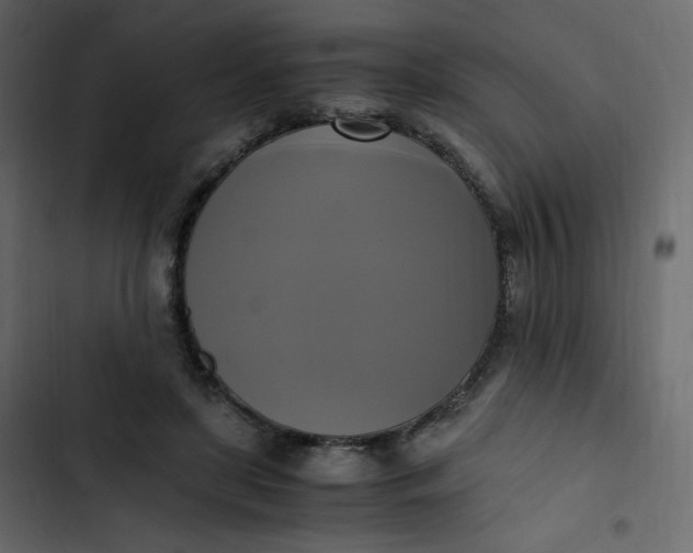 X0000102840451200809021340