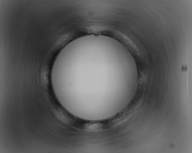 X0000102840452200809021340