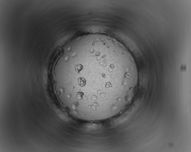 X0000102840453200809021340