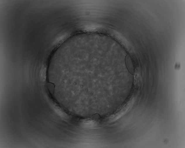 X0000102840454200809021340