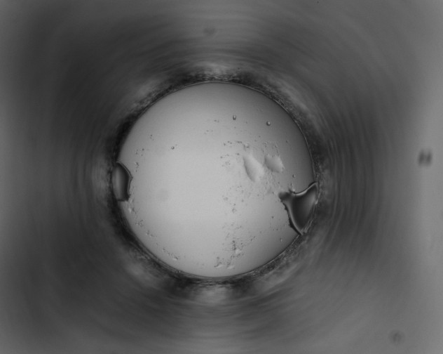 X0000102840456200809021340