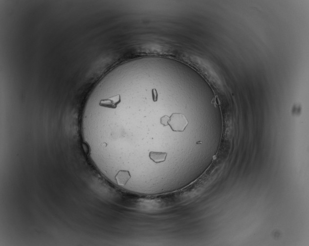 X0000102840457200809021341