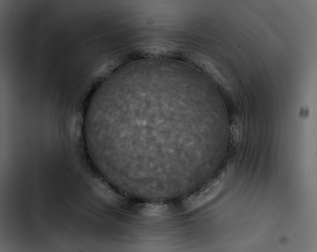 X0000102840458200809021341