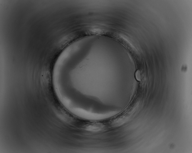 X0000102840459200809021341