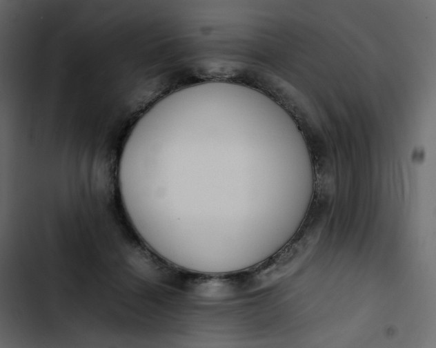 X0000102840460200809021341