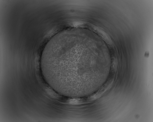 X0000102840461200809021341