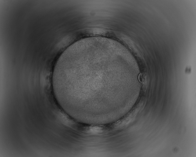 X0000102840462200809021341