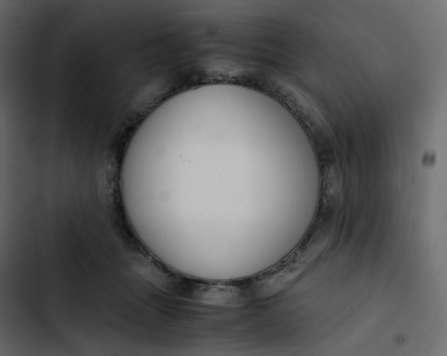 X0000102840463200809021341