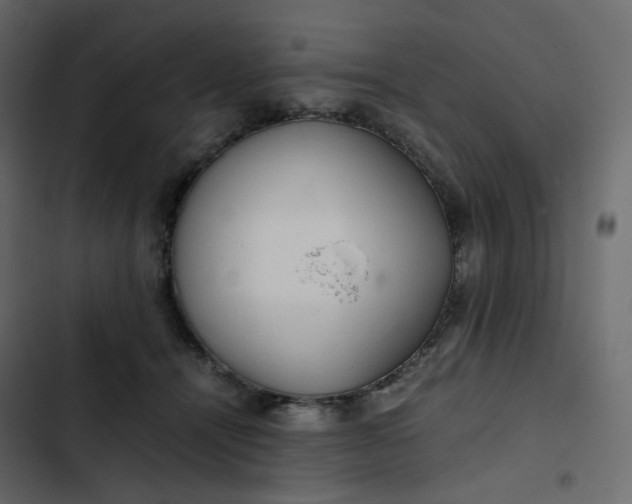 X0000102840464200809021341