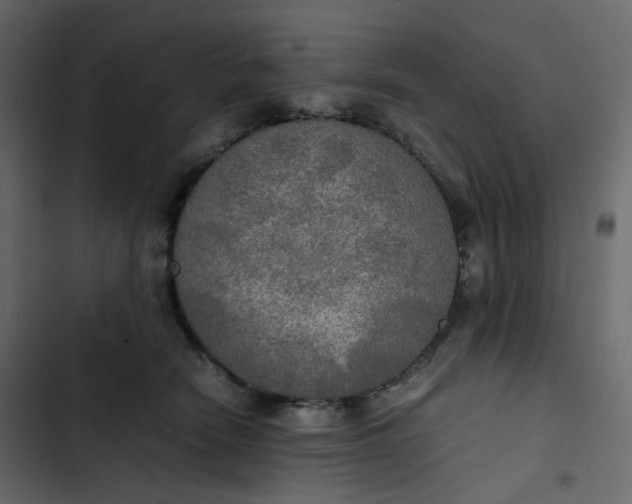 X0000102840466200809021341