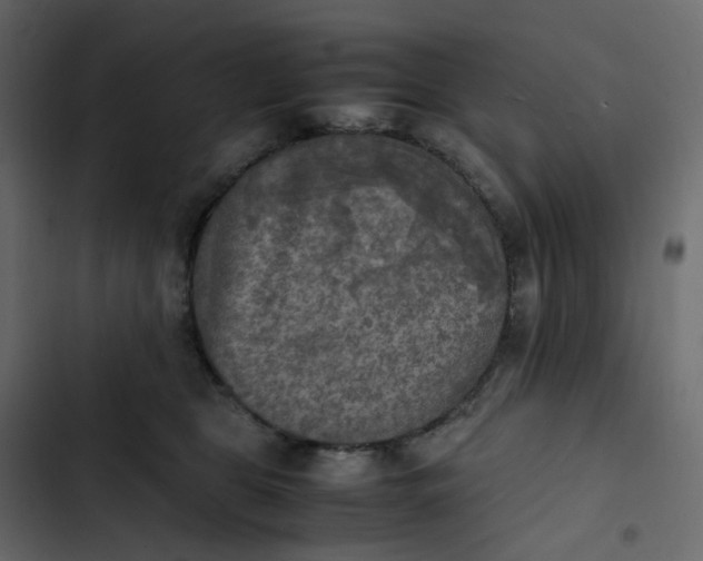 X0000102840469200809021341