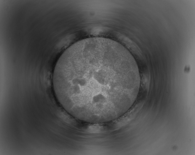 X0000102840470200809021341