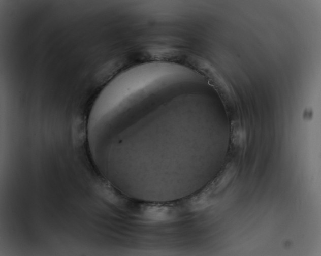 X0000102840471200809021341