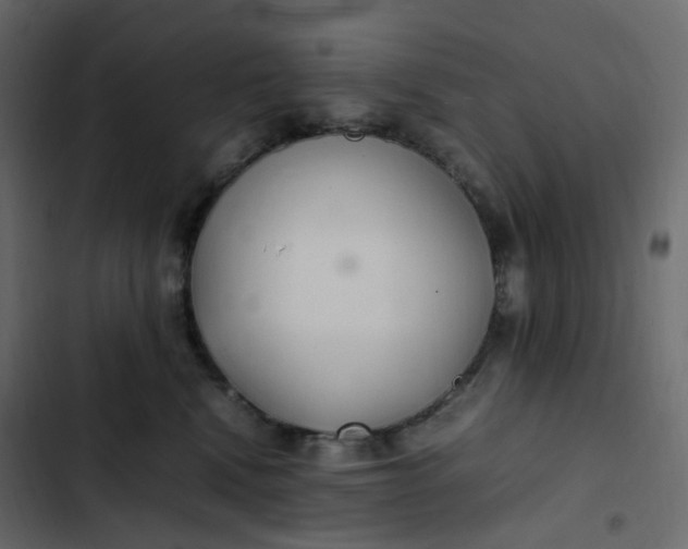 X0000102840472200809021341