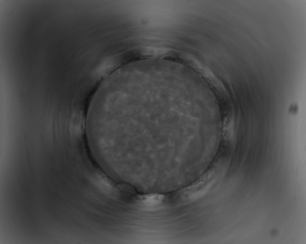 X0000102840474200809021341