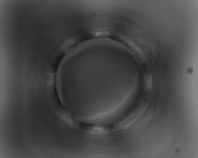 X0000102840475200809021341