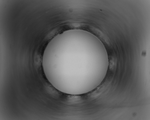 X0000102840476200809021341