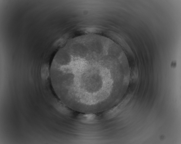 X0000102840478200809021341