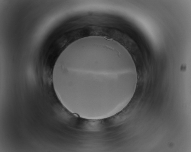 X0000102840479200809021341