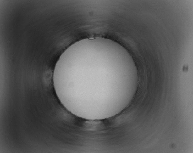 X0000102840480200809021341