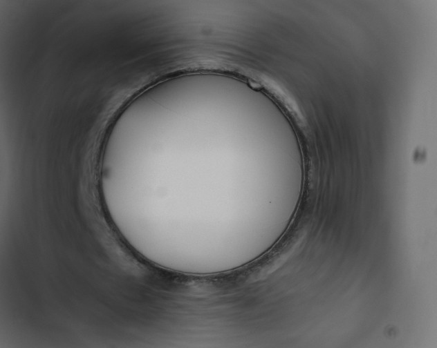 X0000102840481200809021340