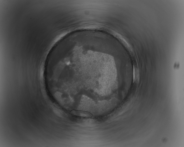 X0000102840483200809021340