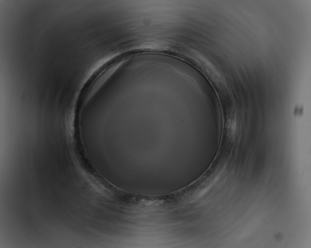 X0000102840484200809021340