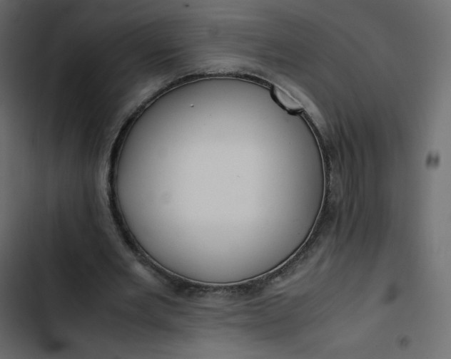 X0000102840485200809021340