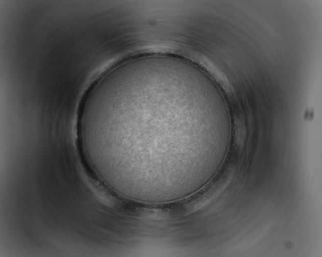 X0000102840486200809021340