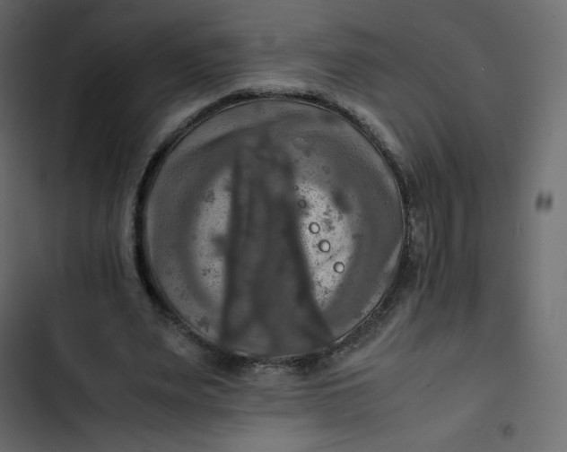 X0000102840487200809021340