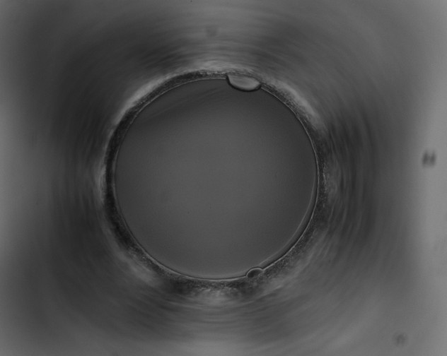 X0000102840488200809021340