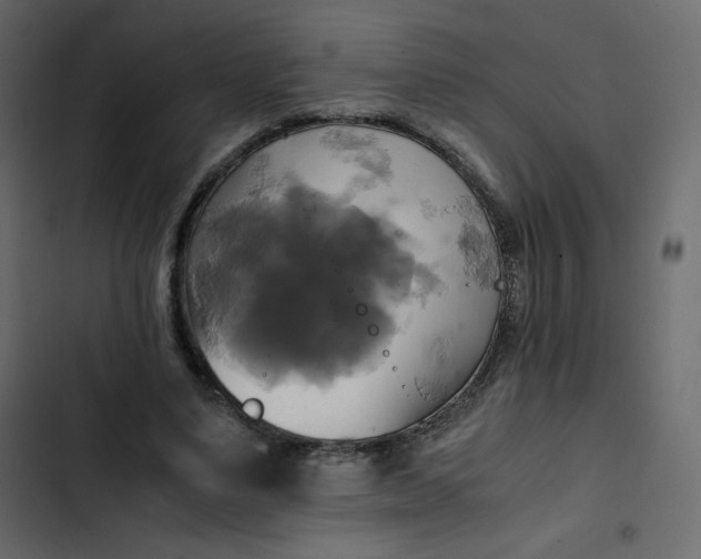 X0000102840491200809021340