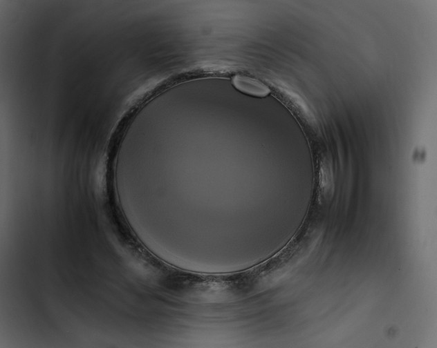 X0000102840492200809021340