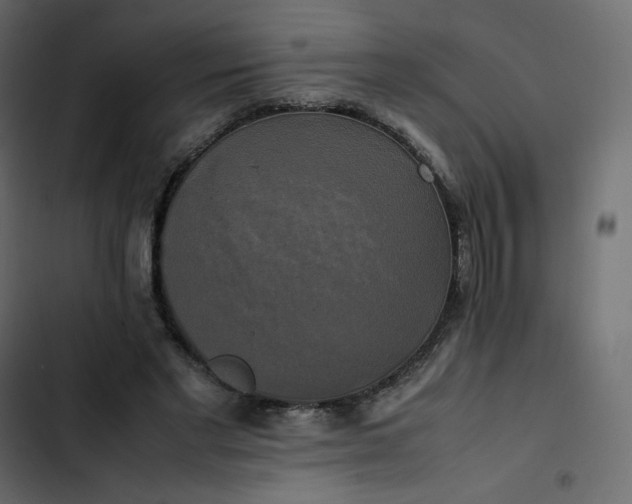 X0000102840493200809021340