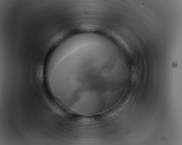 X0000102840494200809021340