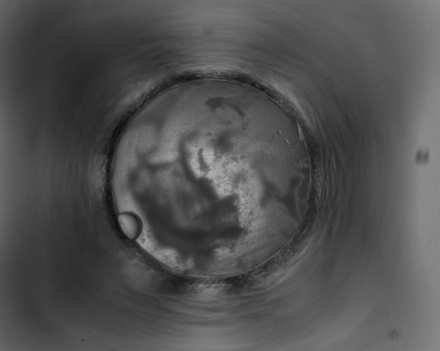 X0000102840495200809021340