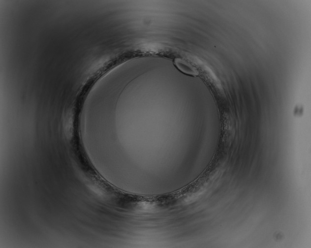 X0000102840496200809021340