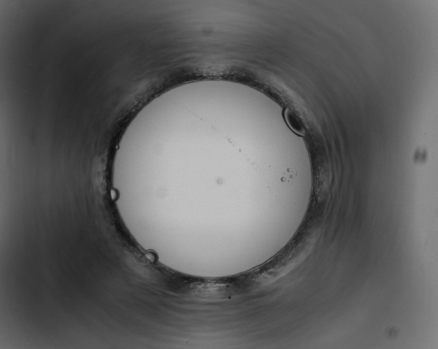 X0000102840497200809021340