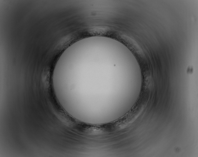 X0000102840498200809021340